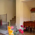 Garden *